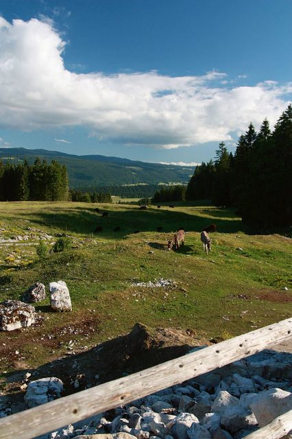 Leserreise Schweiz 2015: Lanschaft Schweiz